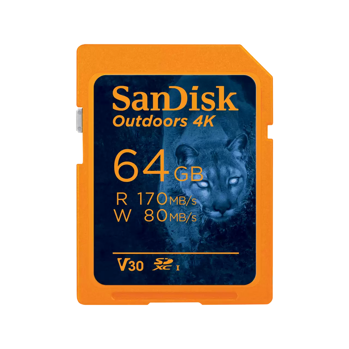 SanDisk Outdoors 4K SD UHS-I Card Two, 64GB