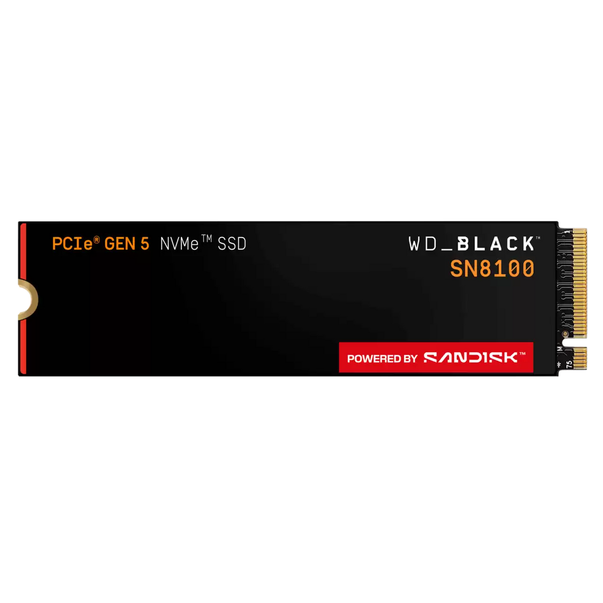 WD_BLACK SN8100 NVMe SSD 1TB, Without Heatsink